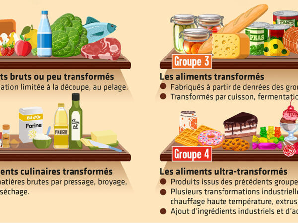 Aliments ultratransformés et risque cardiovasculaire : ce que 104 études ont permis d&rsquo;établir