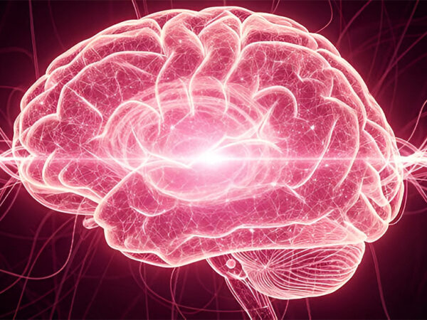 Des chercheurs du MIT stimulent le cerveau grâce au bruit rose